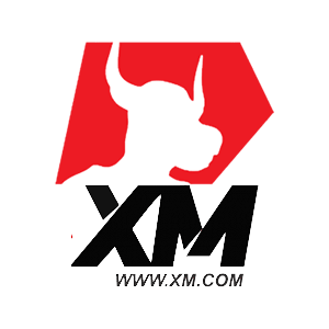 broker partner